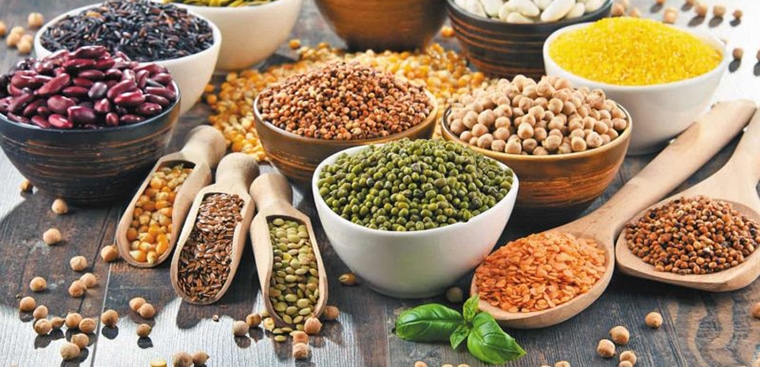 Những loại hạt ngũ cốc - Bình Đựng Ngũ Cốc Gía Rẻ